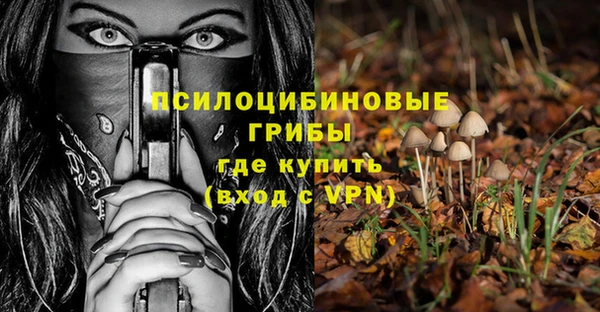 2c-b Кулебаки